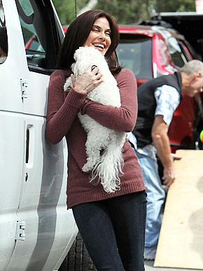 teri hatcher film