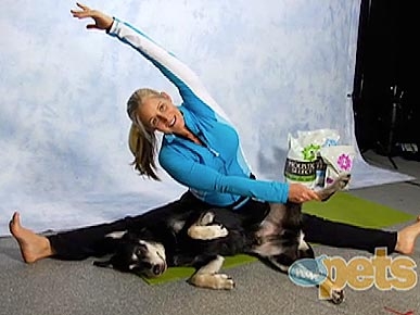 VIDEO: 3 Doga Positions to Try with Your Pooch!