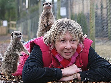 Nearly Frozen, Abandoned Baby Meerkats Bounce Back from Brink