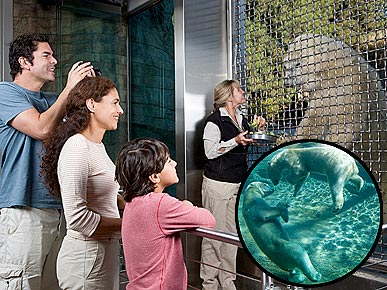 San Diego Zoo Unveils New