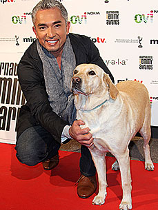 Cesar Millan's Next Mission: To Build an 'International Pack'