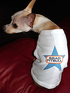 Doggie Tees Turn Brad Pitt into Brad Pitbull – Just for Fun!