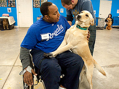 'Through a Dog's Eyes' Examines Bond Between Service Dogs and Humans