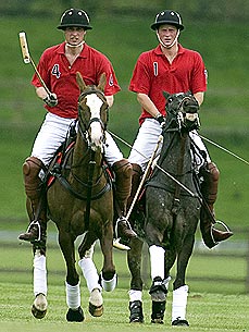 Prince William and Harry 'Very Saddened' by Death of Polo Pony
