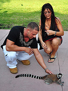 Spotted: 'Jersey Shore's' J-Woww Greets a Lemur