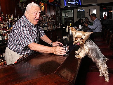 Jasper the Yorkie Helps N.Y.C. Pub Stay Open for Business
