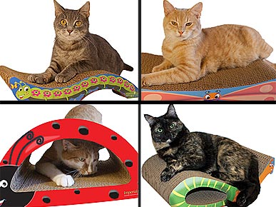 'Cute As a Bug' Cat Scratchers Live Up to the Buzz