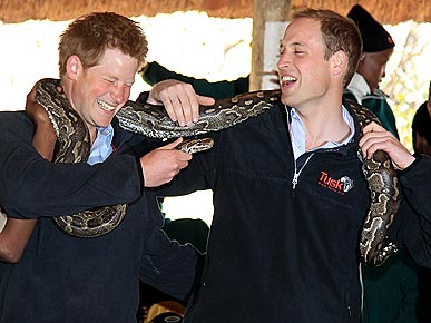 Spotted: Princes William and Harry Try On a Python