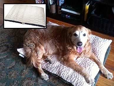 REVIEW: Thermacare Bed Can Help Teach an Old Dog to Lie Down