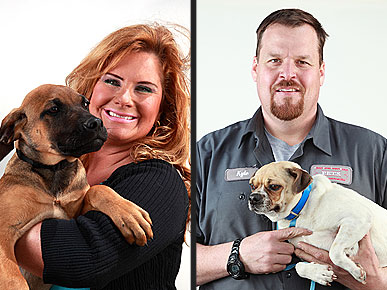 'Last Chance Highway' Takes the South's Stray Dogs to New Homes