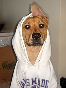 Congrats, Benny & Lily! You Win This Week's Caption Contest