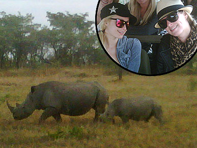 Paris Hilton on African Safari: 'Giraffes Are Hot'