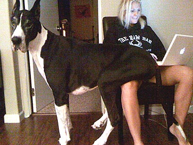 Congrats Tracie! You Win This Week's Caption Contest