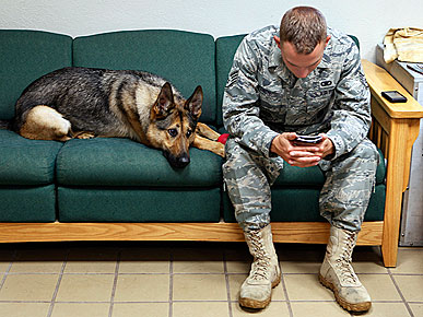 Gina the War Dog Learns to Cope With PTSD