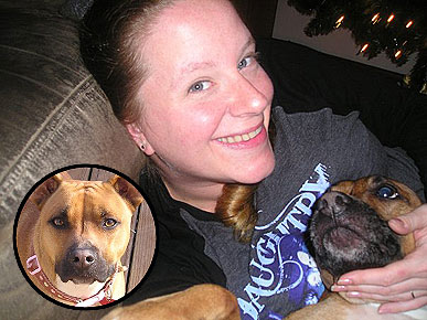 Heroic Dog Saves Owner From Boyfriend's Knife Attack