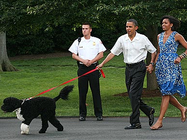 Trainer: Obamas are 'Doing a Good Job' With Bo