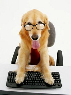 Special Announcement: Check Out the New Forums Section