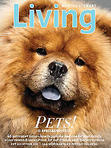 Good Thing: Martha Stewart Living Offers Tips on Pet Adoption