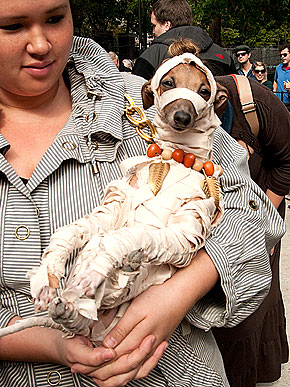 Halloween Parade 2010 Pictures
