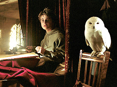 The Water Bowl: Harry Potter Fans Kidnapping Owls! Plus, Cats More Popular Than Jesus on Internet