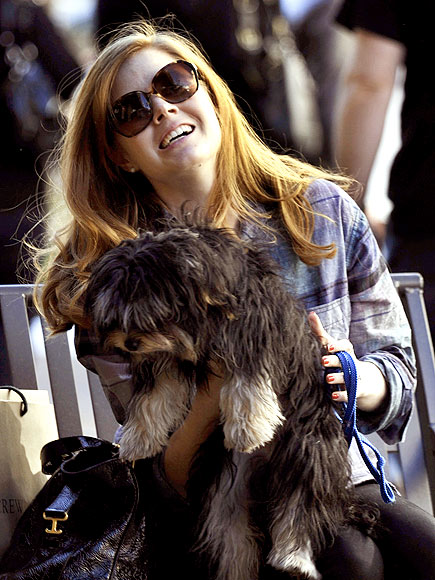 PUPPY PAL photo | Amy Adams