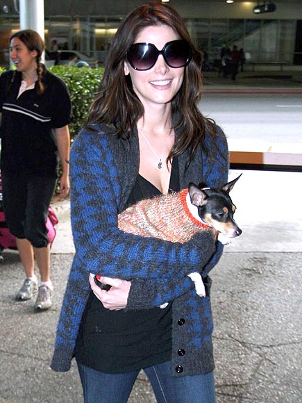 PUPPY LOVE photo | Ashley Greene