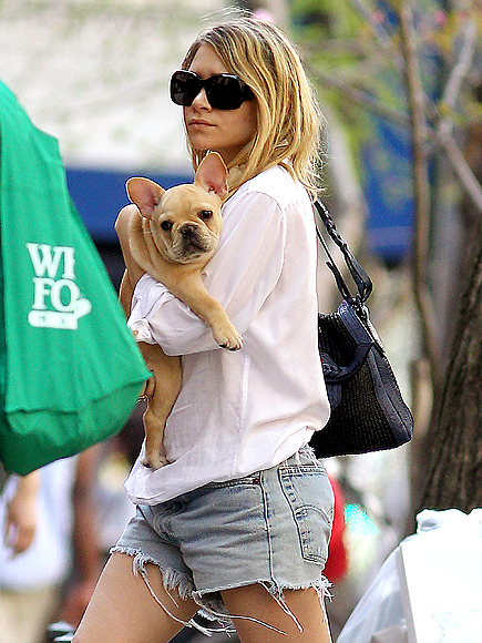 PUPPY PAL photo | Ashley Olsen