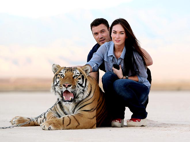 HELLO, KITTY! photo | Brian Austin Green, Megan Fox