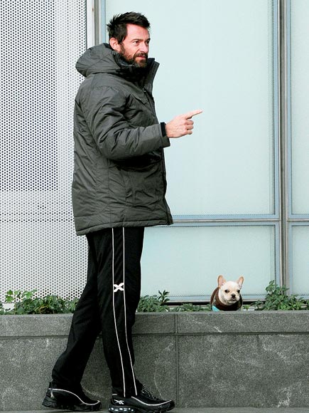 PUPPY PATROL photo | Hugh Jackman