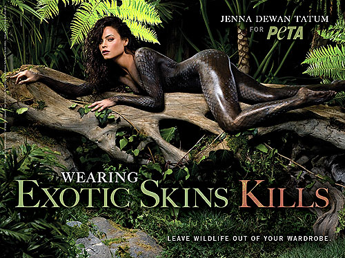 Tell us What do you think of Jenna's PETA ads