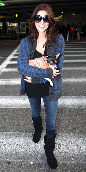 ASHLEY GREENE'S SWEATER photo | Ashley Greene