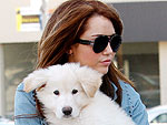 Miley Cyrus's Doggy Duty | Miley Cyrus