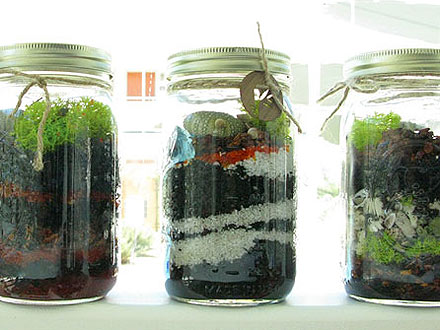 Craft Ideas on Gift There S Nothing Cheerier Than A Little Succulence In A Mason Jar