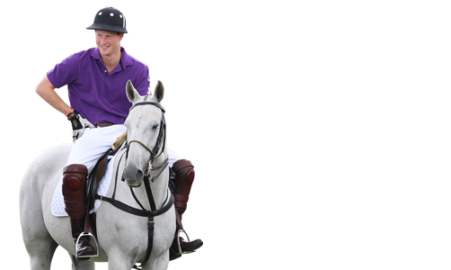 Prince Harry'sWild Jubilee Tour