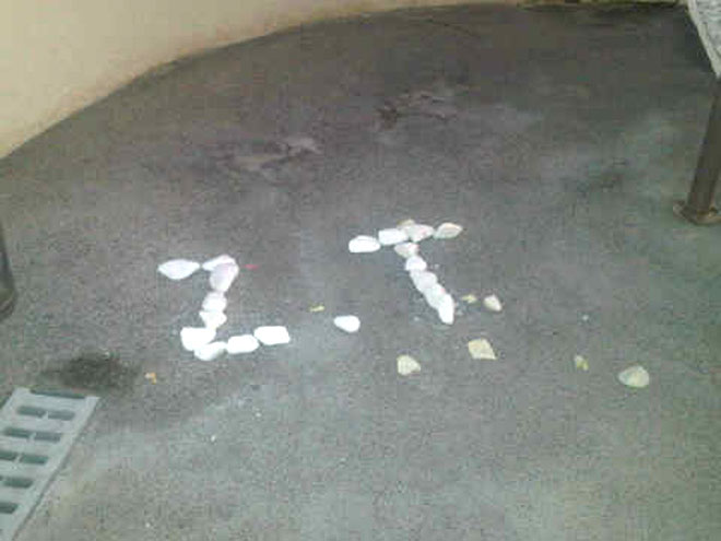 SPELL IT OUT
photo | Tara Reid
