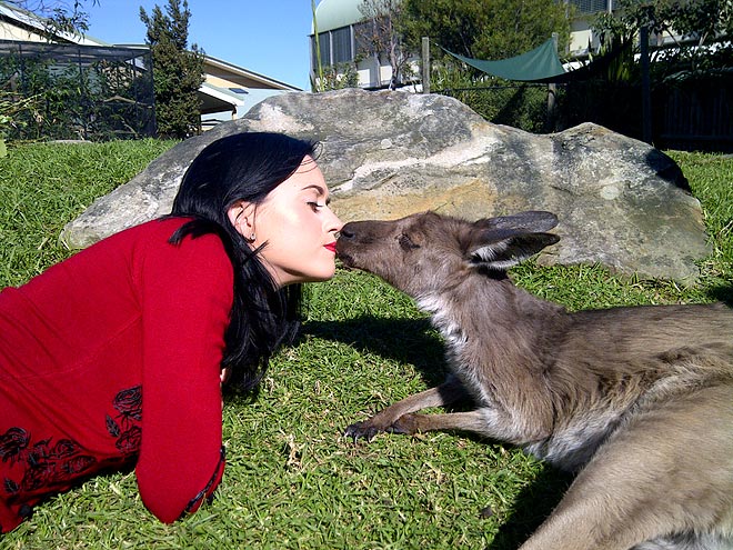 KATY PERRY
photo | Katy Perry