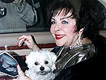 Elizabeth Taylor's Furry Friends