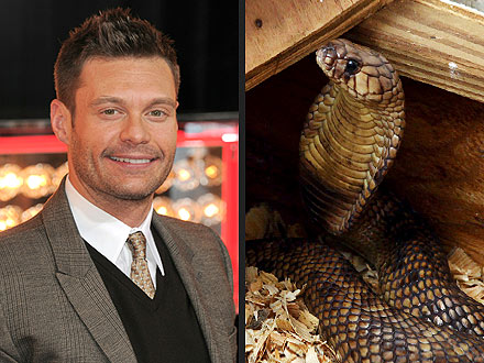 Ryan Seacrest Eaten by Cobra? April Fools!