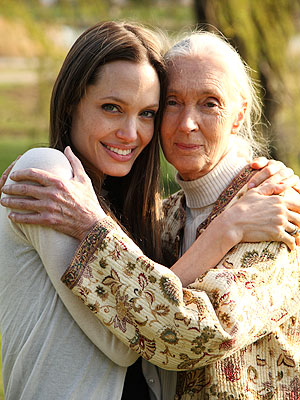Jane Goodall Teams Up with Angelina Jolie in New Film | Angelina Jolie, Jane Goodall