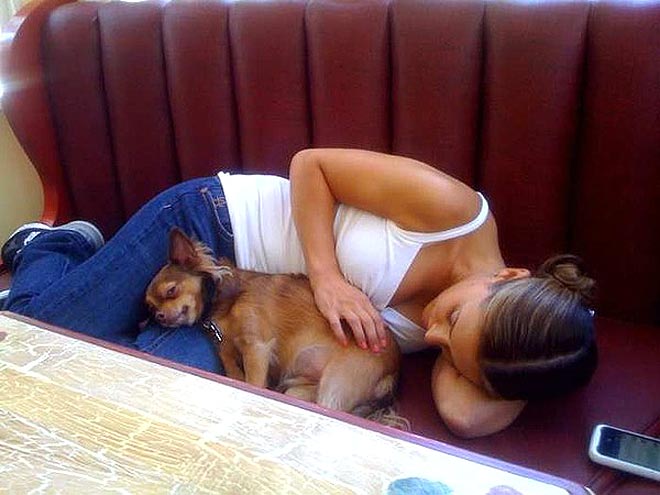CUDDLE BUDDY photo | Alyssa Milano