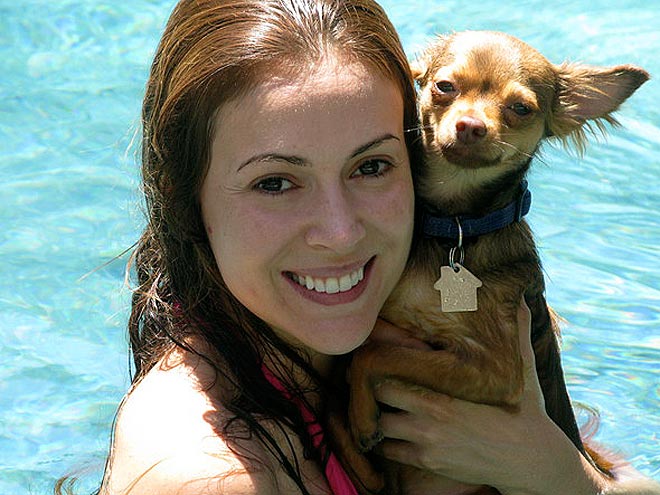 TAKING A DIP photo | Alyssa Milano