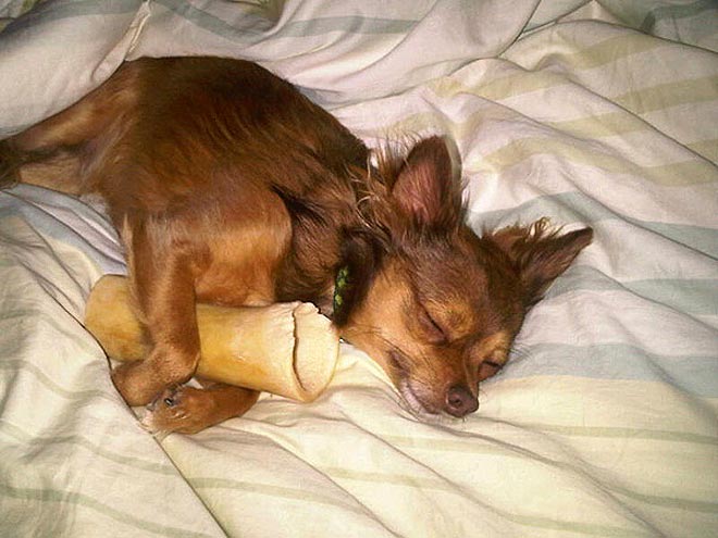 SHUT-EYE photo | Alyssa Milano