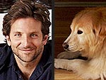 Bradley Cooper's True Love: His Dog | Bradley Cooper