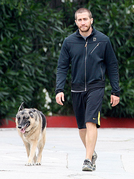 JAKE GYLLENHAAL photo | Jake Gyllenhaal