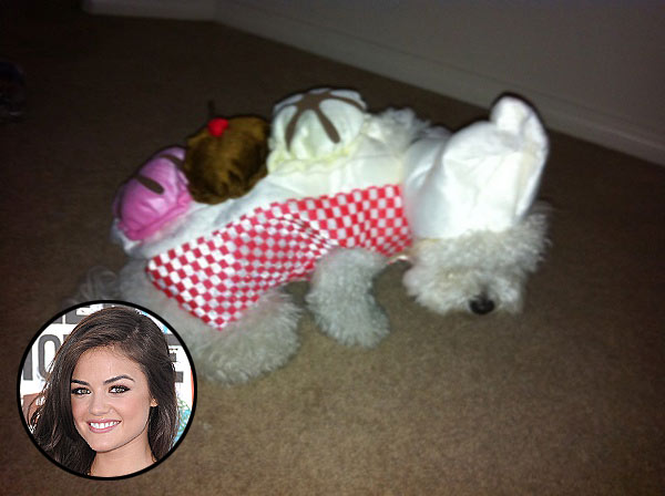 LUCY HALE photo | Lucy Hale