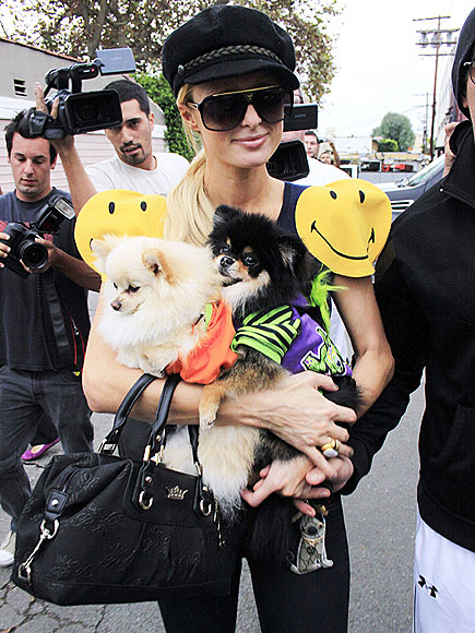 PARIS HILTON photo | Paris Hilton