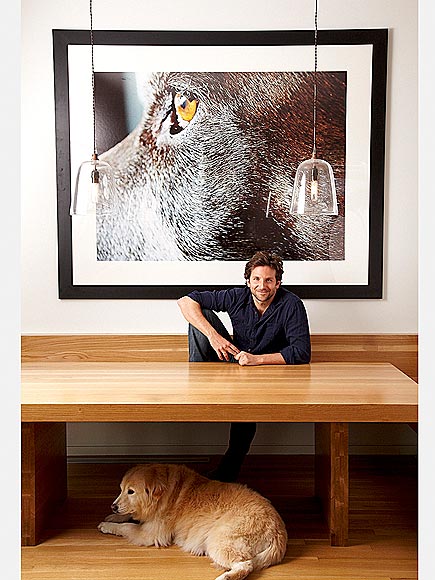 ANIMAL WALL ART photo | Bradley Cooper