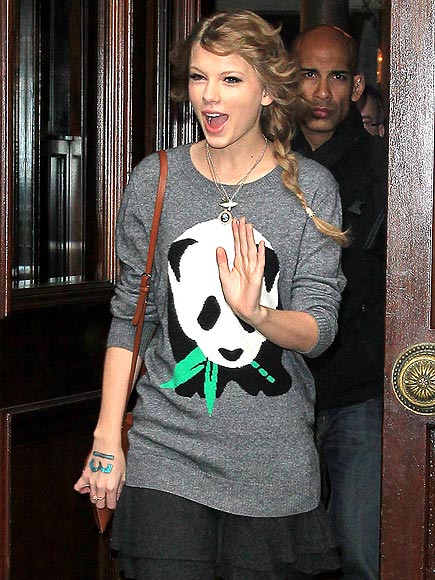 PANDA SWEATER photo | Taylor Swift