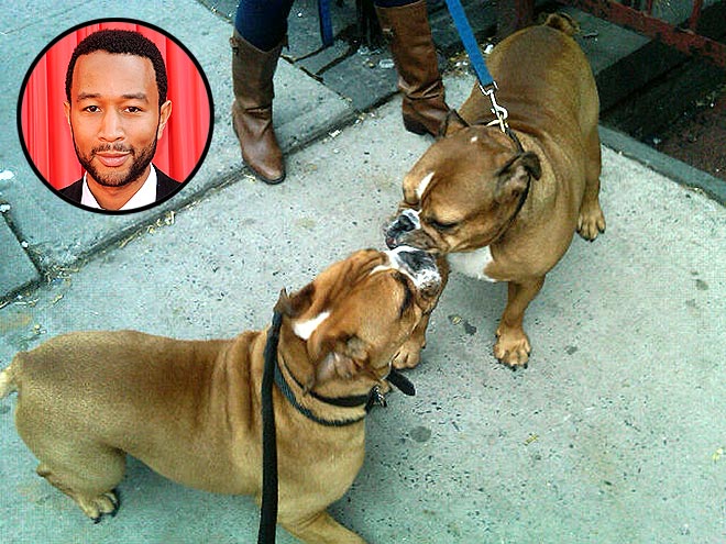 JOHN LEGEND photo | John Legend