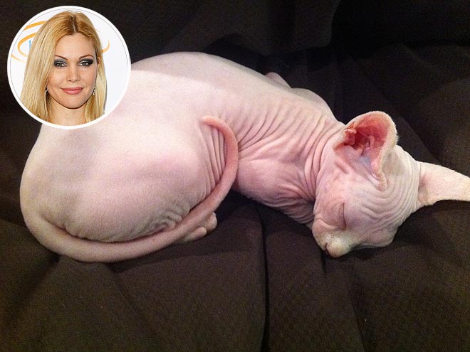 SHANNA MOAKLER photo | Shanna Moakler